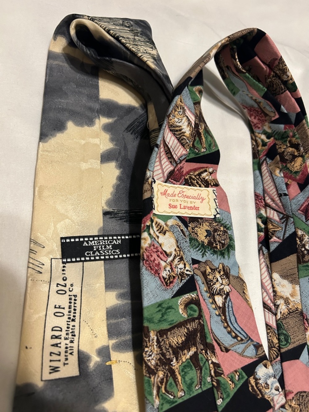 🧢$16 Sale⚾️ Novelty tie lot NHL max raab chiropractor wizard of oz - Picture 7 of 9